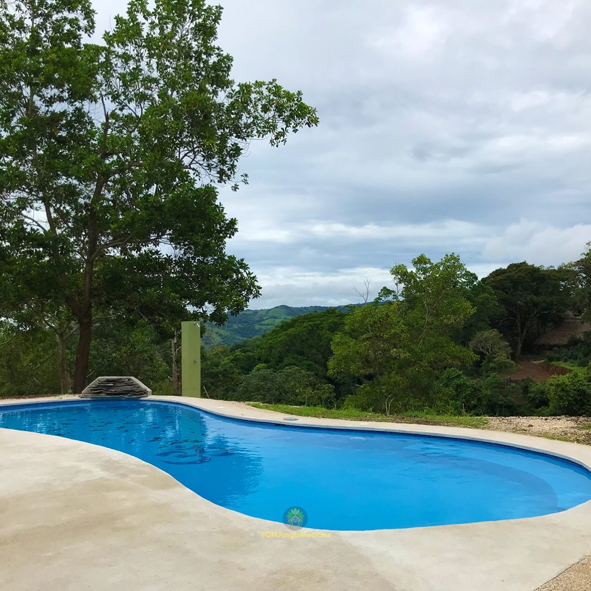 The Swimming pool at OM Jungle Medicine