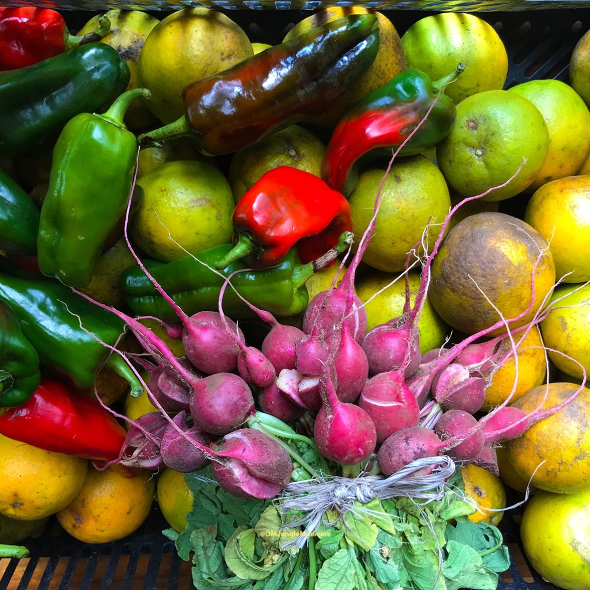 Farm-to-table food grown at the retreat center, OM Jungle Medicine