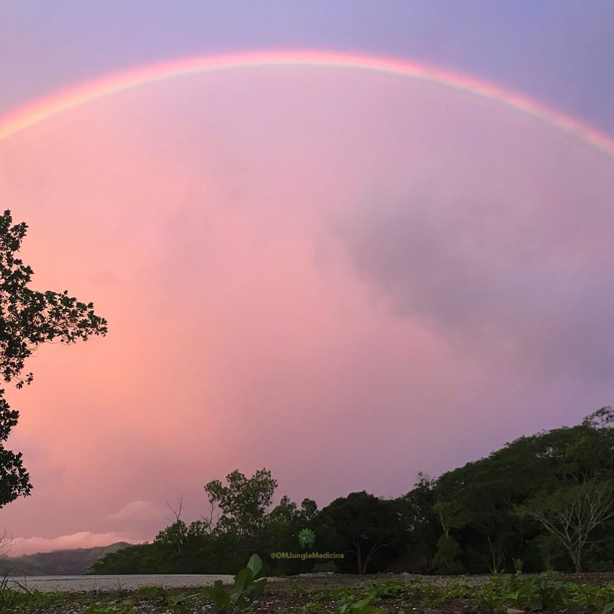 A rainbow at OM Jungle Medicine